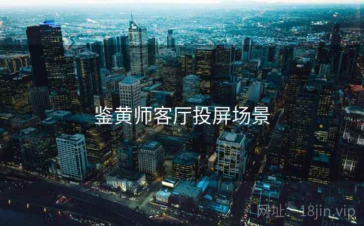 鉴黄师客厅投屏场景  第1张