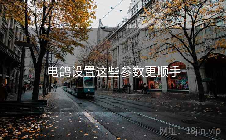 电鸽设置这些参数更顺手  第1张