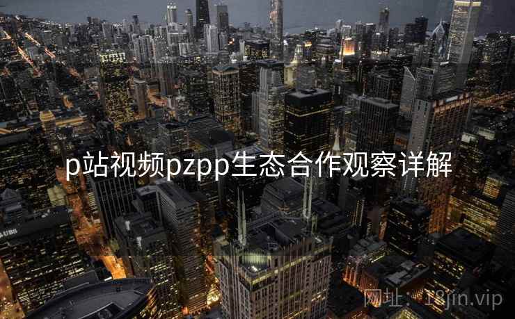 p站视频pzpp生态合作观察详解  第1张