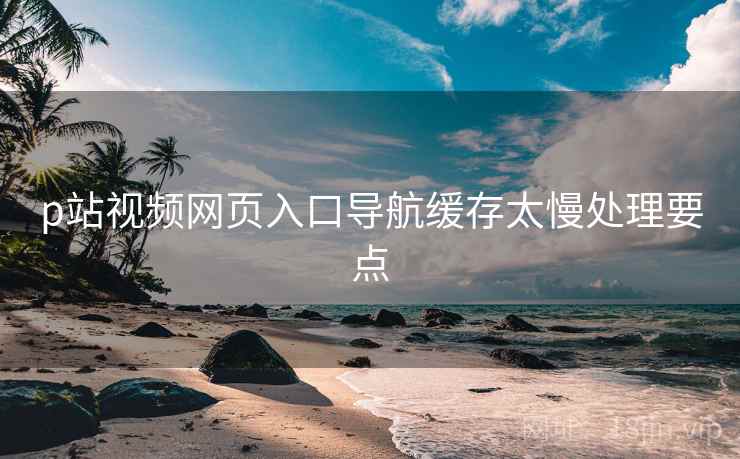 p站视频网页入口导航缓存太慢处理要点  第1张