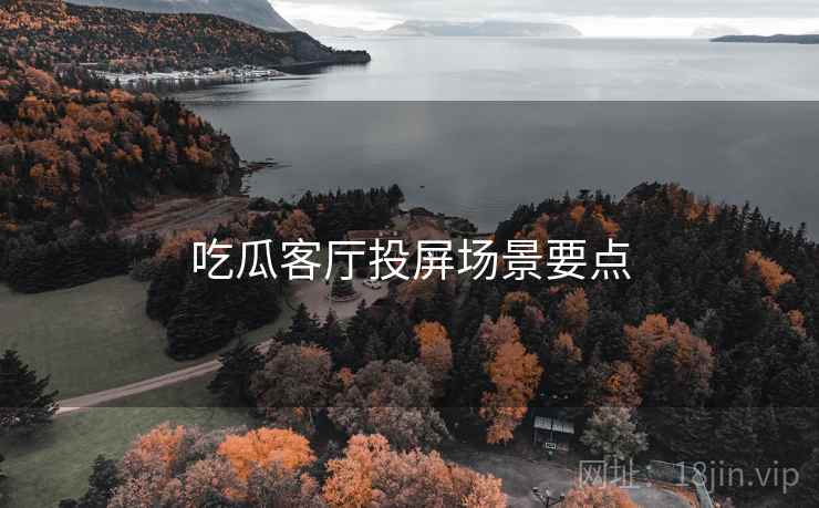 吃瓜客厅投屏场景要点  第1张